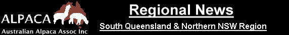 RegionLogo